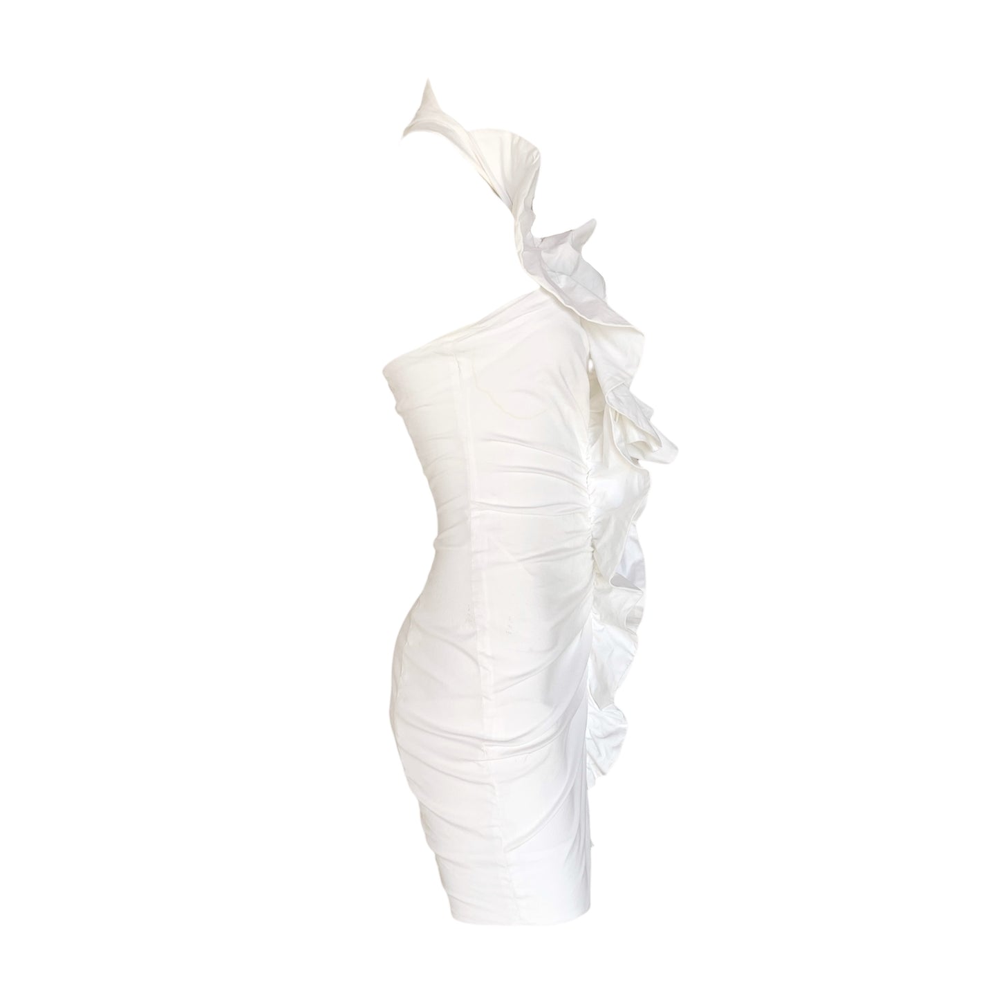 Elisabetta Franchi dress