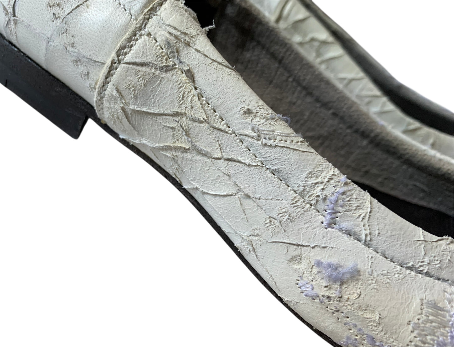 Gianni Barbato ballerine